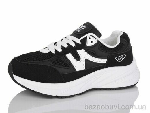 Hongquan J2081-2, 670.00, 8, 36-41