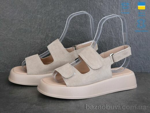 Ailinda 871-27, 730.00, 6, 36-40