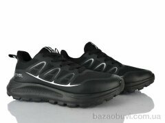 Lion-Lu A0082-2, 450.00, 8, 39-44