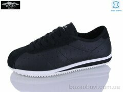 Baas L1900-1, 19.00, 8, 36-41