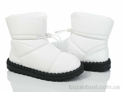 Захар-Gold N58-2, 300.00, 8, 36-41