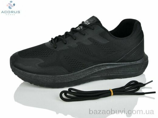 Acorus K255, 315.00, 10, 41-45