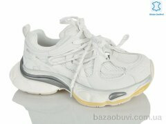 Teetspace-Trasta-Egga WDP2063-26, 37.00, 6, 36-40