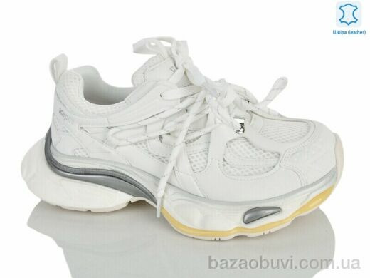 Teetspace-Trasta-Egga WDP2063-26, 37.00, 6, 36-40