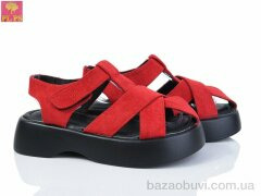 PLPS 887-5, 520.00, 6, 36-41