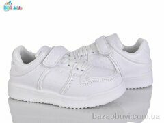 BBT H528-2-1, 310.00, 8, 26-31