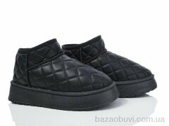 Lion-Lu CR2403, 480.00, 8, 36-41