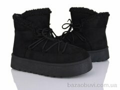 Moli W22-1, 500.00, 8, 36-41