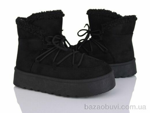 Moli W22-1, 500.00, 8, 36-41