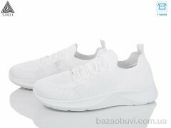 STILLI Group F317-3, 360.00, 8, 36-41