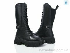 Lion A1-1255, 800.00, 8, 36-40