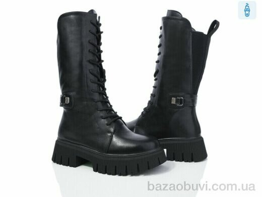 Lion A1-1255, 800.00, 8, 36-40