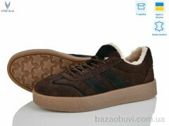 Viscala 21248-1 кор. VL, 1370.00, 6, 36-41