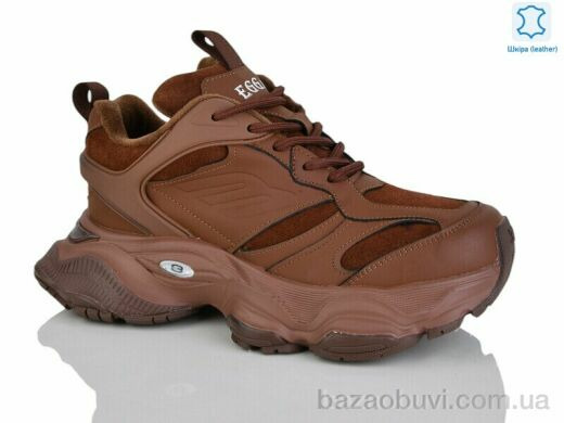 Teetspace-Trasta-Egga WDP1898-33, 38.00, 6, 36-40