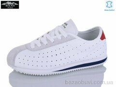 Baas L1900-4, 19.00, 8, 36-41