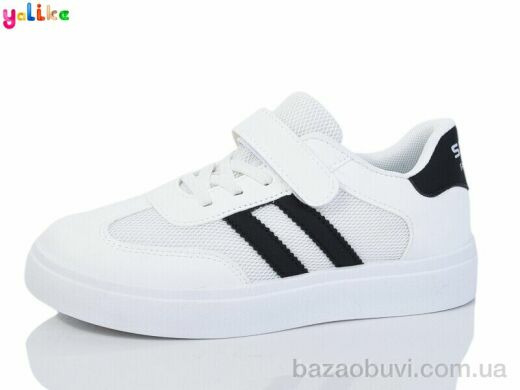 Yalike 2088-5, 300.00, 12, 33-38