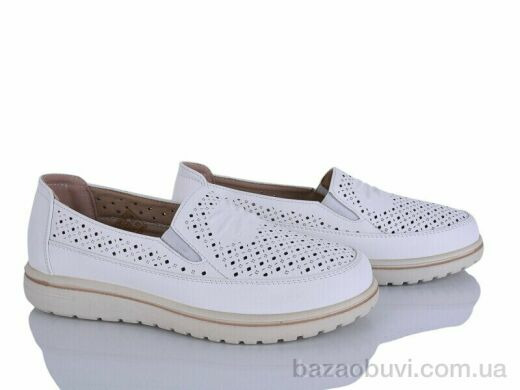 Lion-Lu 2024-62, 350.00, 8, 36-41