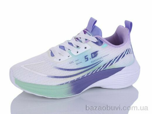 Ditof B0062-3, 11.00, 8, 36-41