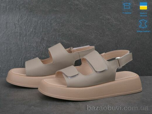 Ailinda 871-26 old, 730.00, 6, 36-40