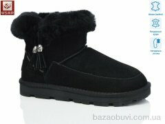 WSMR K08-1, 900.00, 8, 36-41