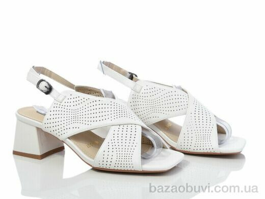 Loretta A875-3, 500.00, 6, 36-40