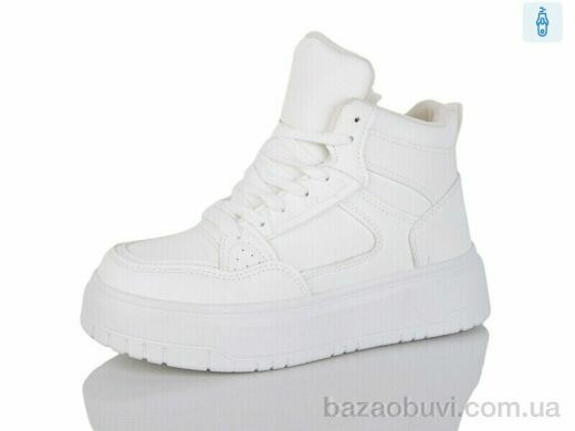 L.B. L1054-2, 550.00, 8, 36-41