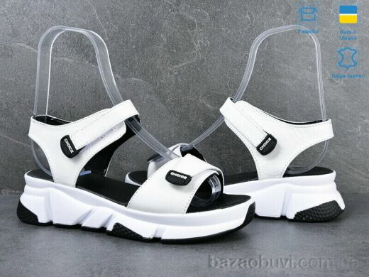 Ailinda 6006-8, 590.00, 6, 36-40