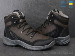 Paolla 361-6513 коричневий, 770.00, 8, 41-46