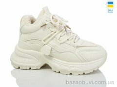 Swin 2805-2, 490.00, 8, 36-41