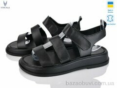 Viscala 24212 ч.ш., 550.00, 6, 36-40