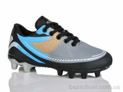 ASHIGULI C24-1, 430.00, 6, 31-36