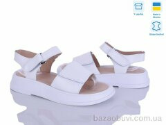 Ailinda 339-8A, 790.00, 6, 36-40