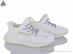 STILLI Group CX203-1, 670.00, 8, 36-41