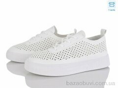 Hongquan J2113-2, 500.00, 8, 36-41