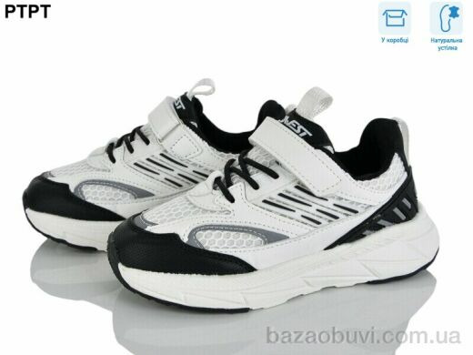 PTPT 6172, 490.00, 6, 29-34