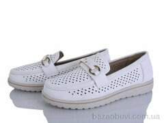 Lion-Lu 2024-70, 270.00, 8, 36-41