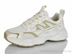 Ditof HB0067-2, 13.00, 8, 36-41