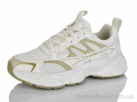 Ditof HB0067-2, 13.00, 8, 36-41