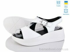 Ailinda 9668-8, 530.00, 6, 36-40