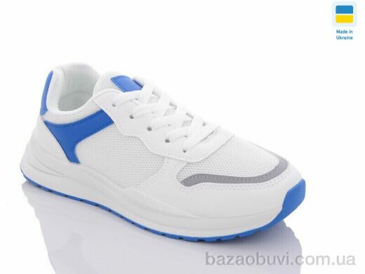 Swin 2379-5, 290.00, 8, 36-41