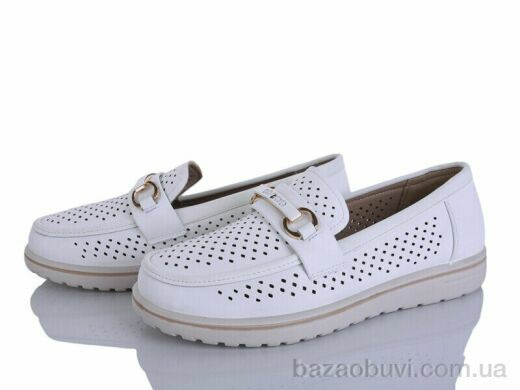 Lion-Lu 2024-70, 350.00, 8, 36-41