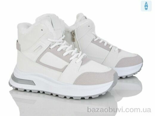 Baolikang G23-2, 580.00, 8, 36-41