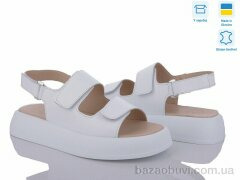 Ailinda 871-8, 730.00, 6, 36-40