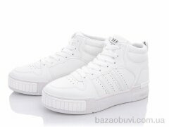 Xifa 038-08, 400.00, 8, 36-41