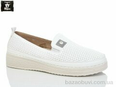 Steel Land 2024-12, 450.00, 8, 36-41