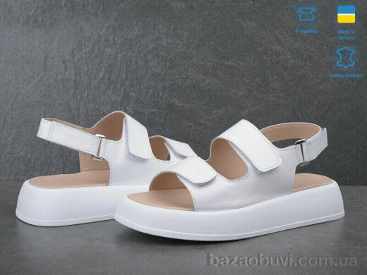 Ailinda 871-8, 730.00, 6, 36-40