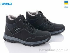 Lvovbaza Roksol Б39 пр сп, 540.00, 8, 40-45