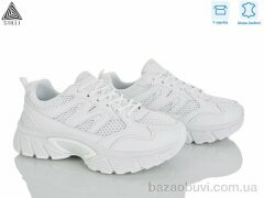 STILLI Group NK140-1 шкіра, 690.00, 8, 36-41