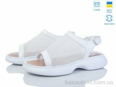 Ailinda 1705-8, 640.00, 6, 36-40