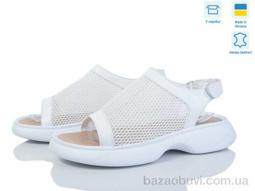 Ailinda 1705-8, 640.00, 6, 36-40